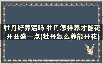 牡丹好养活吗 牡丹怎样养才能花开旺盛一点(牡丹怎么养能开花)